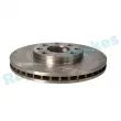 Jeu de 2 disques de frein avant RAP BRAKES R-D0658 - Visuel 2