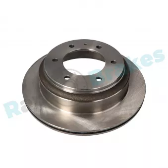 Jeu de 2 disques de frein arrière RAP BRAKES R-D0667