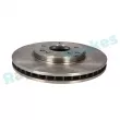 Jeu de 2 disques de frein avant RAP BRAKES R-D0700 - Visuel 2