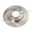 Jeu de 2 disques de frein arrière RAP BRAKES R-D0809 - Visuel 1