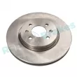 Jeu de 2 disques de frein avant RAP BRAKES R-D0920 - Visuel 1
