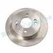 Jeu de 2 disques de frein arrière RAP BRAKES R-D0925 - Visuel 1