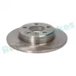 Jeu de 2 disques de frein arrière RAP BRAKES R-D0987 - Visuel 2