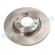 Jeu de 2 disques de frein arrière RAP BRAKES R-D1005 - Visuel 1