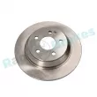 Jeu de 2 disques de frein arrière RAP BRAKES R-D1013 - Visuel 1