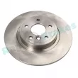 Jeu de 2 disques de frein arrière RAP BRAKES R-D1030 - Visuel 1