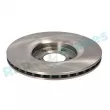 Jeu de 2 disques de frein arrière RAP BRAKES R-D1047 - Visuel 3