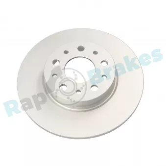 Jeu de 2 disques de frein arrière RAP BRAKES