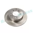Jeu de 2 disques de frein arrière RAP BRAKES R-D1070 - Visuel 1