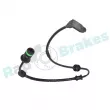 Contact d'avertissement, usure des plaquettes de frein RAP BRAKES R-G0007 - Visuel 1