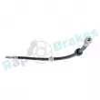 Flexible de frein RAP BRAKES R-H0004 - Visuel 2