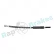 Flexible de frein RAP BRAKES R-H0011 - Visuel 2
