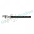 Flexible de frein RAP BRAKES R-H0041 - Visuel 2