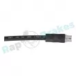 Flexible de frein RAP BRAKES R-H0046 - Visuel 2