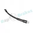 Flexible de frein RAP BRAKES R-H0065 - Visuel 3