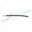 Flexible de frein RAP BRAKES R-H0075 - Visuel 2