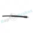 Flexible de frein RAP BRAKES R-H0082 - Visuel 3