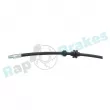 Flexible de frein RAP BRAKES R-H0188 - Visuel 2