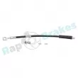 Flexible de frein RAP BRAKES R-H0210 - Visuel 1