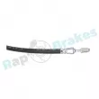 Flexible de frein RAP BRAKES R-H0260 - Visuel 3