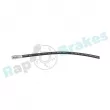 Flexible de frein RAP BRAKES R-H0442 - Visuel 2