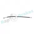Flexible de frein avant droit RAP BRAKES R-H0508 - Visuel 1