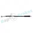 Flexible de frein RAP BRAKES R-H0535 - Visuel 1