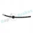 Flexible de frein RAP BRAKES R-H0561 - Visuel 2