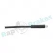 Flexible de frein RAP BRAKES R-H0565 - Visuel 3