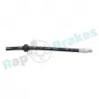 Flexible de frein RAP BRAKES R-H0577 - Visuel 3