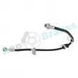 Flexible de frein avant gauche RAP BRAKES R-H0596 - Visuel 2