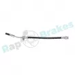 Flexible de frein avant gauche RAP BRAKES R-H0731 - Visuel 3