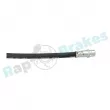 Flexible de frein RAP BRAKES R-H0766 - Visuel 3