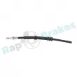 Flexible de frein RAP BRAKES R-H0799 - Visuel 2
