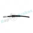 Flexible de frein RAP BRAKES R-H0803 - Visuel 2