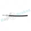Flexible de frein arrière gauche RAP BRAKES R-H0824 - Visuel 2