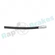 Flexible de frein arrière gauche RAP BRAKES R-H0824 - Visuel 3