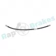 Flexible de frein RAP BRAKES R-H0843 - Visuel 1