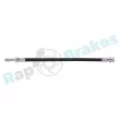 Flexible de frein RAP BRAKES R-H0956 - Visuel 1