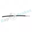 Flexible de frein arrière droit RAP BRAKES R-H1019 - Visuel 2