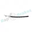 Flexible de frein arrière gauche RAP BRAKES R-H1058 - Visuel 2