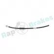 Flexible de frein arrière gauche RAP BRAKES R-H1169 - Visuel 3