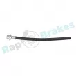 Flexible de frein arrière gauche RAP BRAKES R-H1184 - Visuel 2