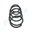 Ressort de suspension PROFLEX PX1-0101 - Visuel 2