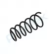 Ressort de suspension PROFLEX PX1-0104 - Visuel 3