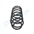Ressort de suspension PROFLEX PX1-0119 - Visuel 2