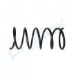 Ressort de suspension PROFLEX PX1-0127 - Visuel 2