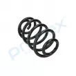 Ressort de suspension PROFLEX PX1-0135 - Visuel 3