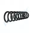 Ressort de suspension PROFLEX PX1-0185 - Visuel 3