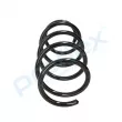 Ressort de suspension PROFLEX PX1-0189 - Visuel 2